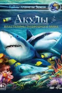  Акулы 3D: Властелины подводного мира  (2013)