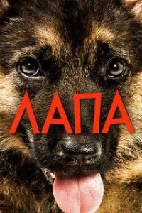 Лапа  (2015)