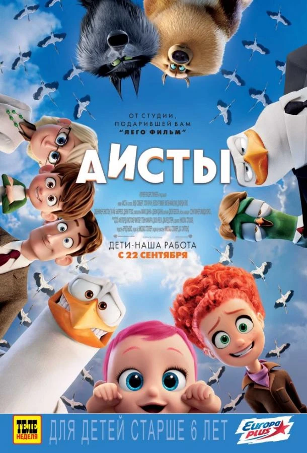  Аисты  (2016)