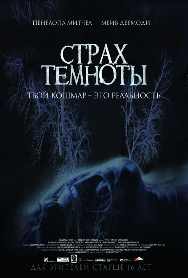  Страх темноты  (2014)