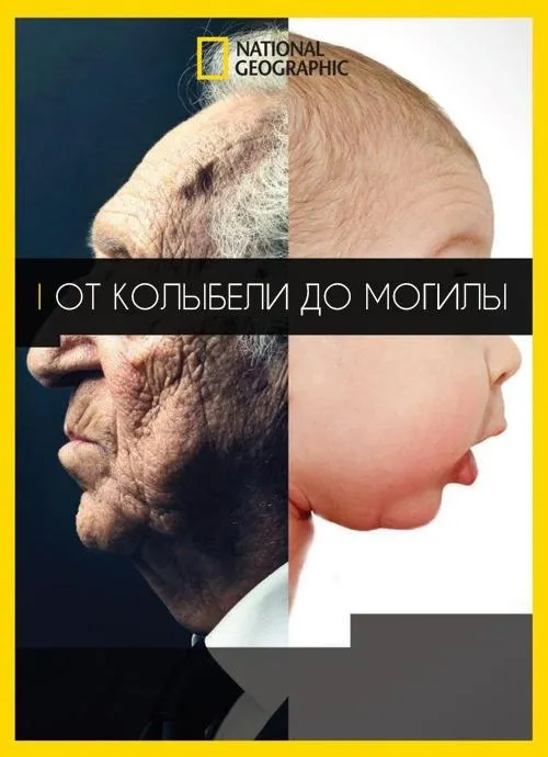  От колыбели до могилы  (2017)