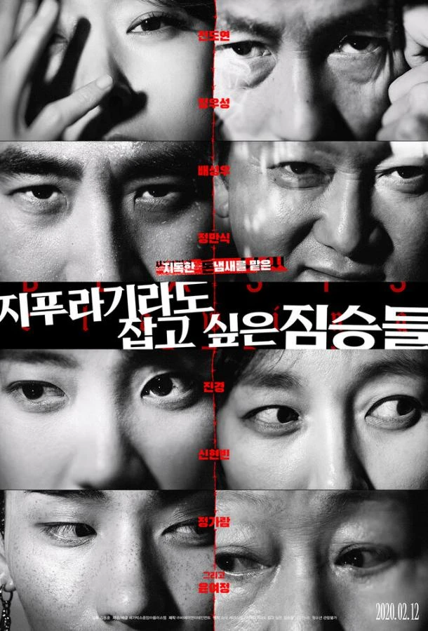  Большой куш  (2020)