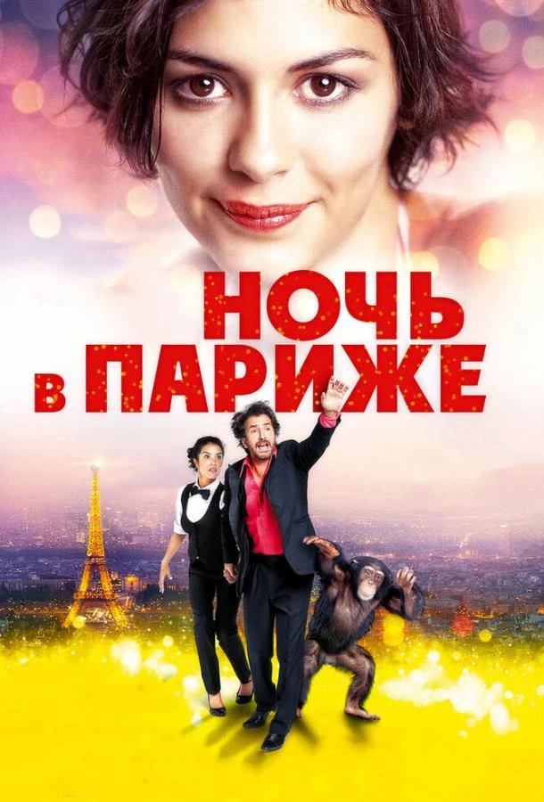 Ночь в Париже  (2016)