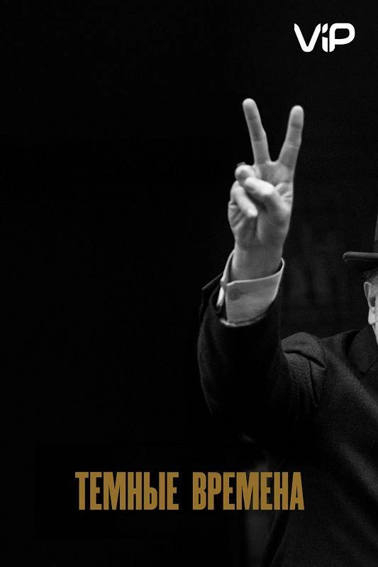  Темные времена  (2017)