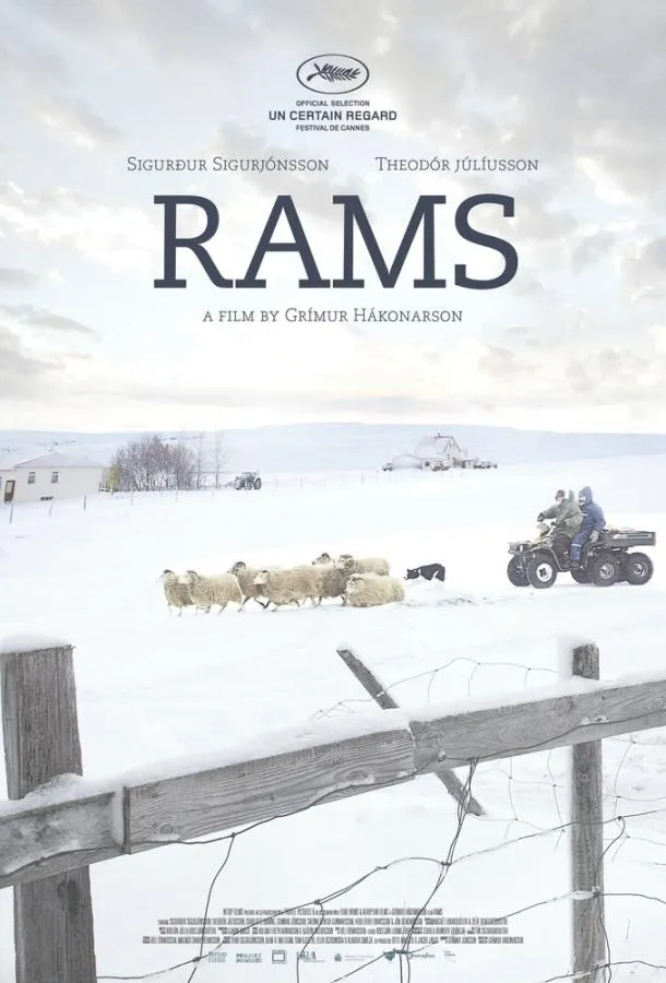  Бараны  (2015)
