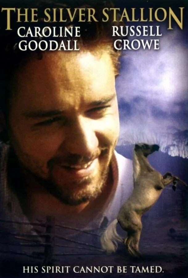  Серебряный ветер  (1993)