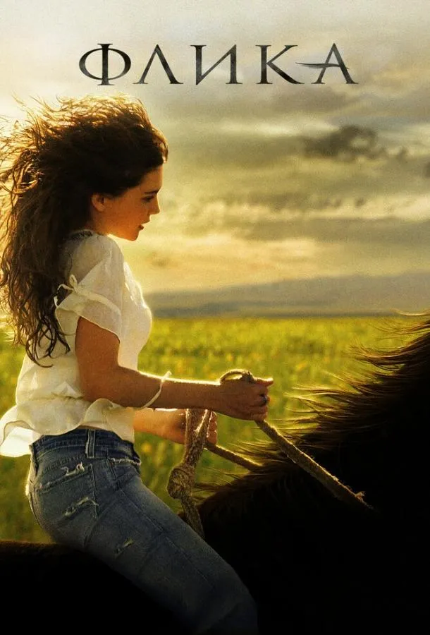  Флика  (2006)