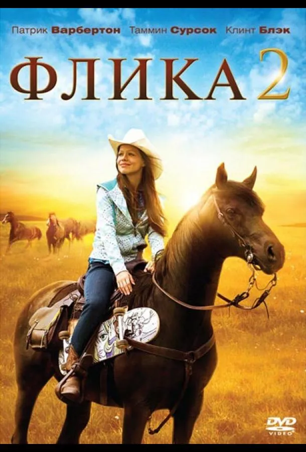  Флика 2  (2010)