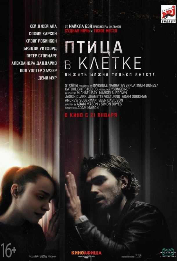  Птица в клетке. Заражение  (2020)