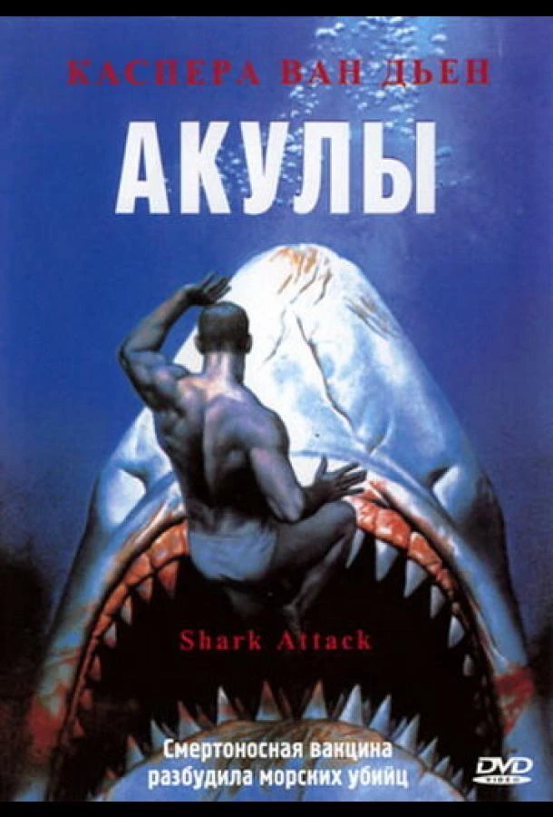 Акулы (1999)