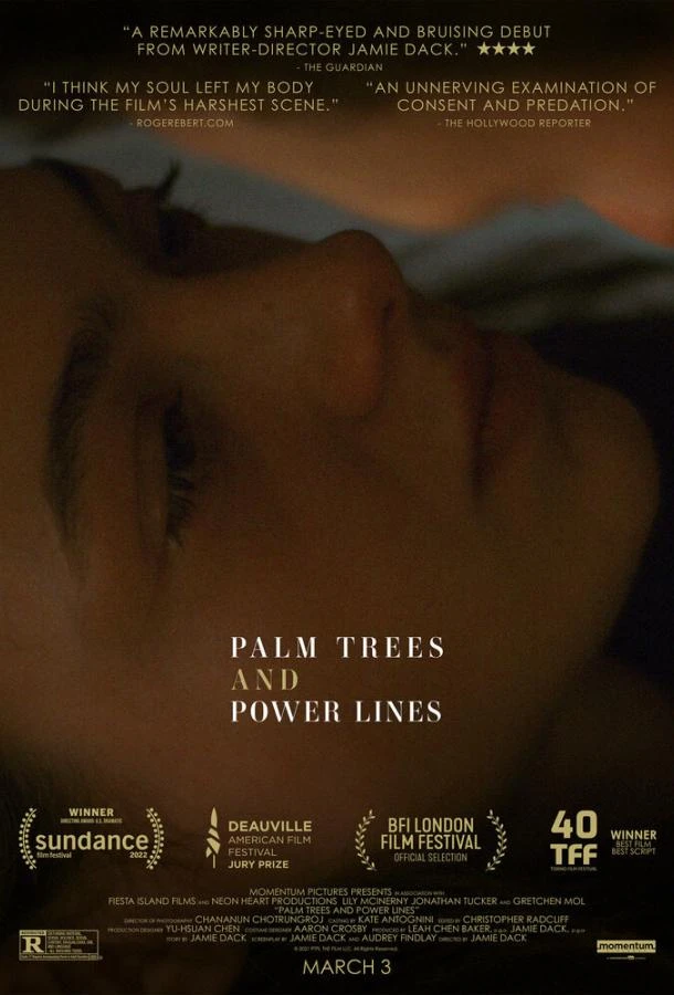  Пальмы и линии электропередач  (2022)