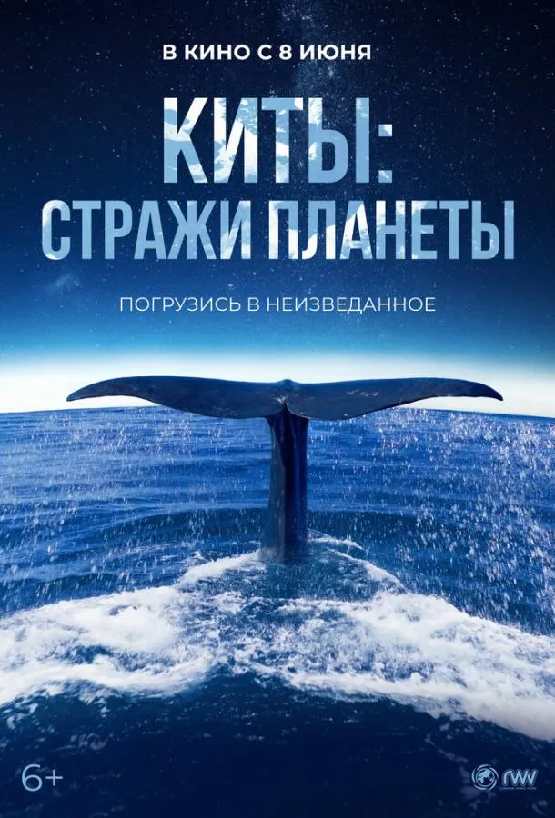  Киты: Стражи планеты  (2023)