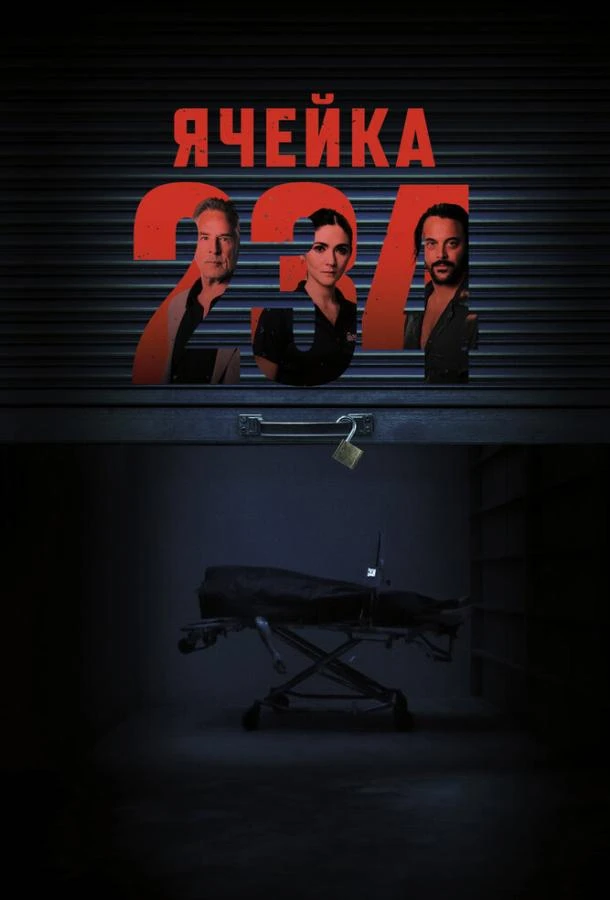  Ячейка 234  (2024)