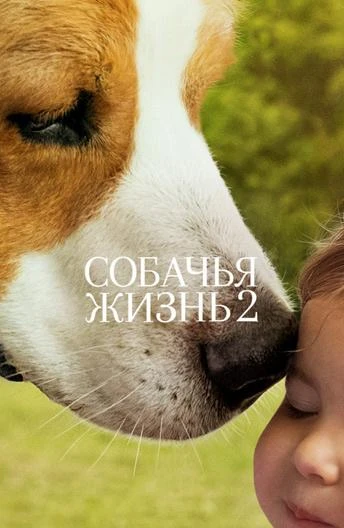  Собачья жизнь 2  (2019)