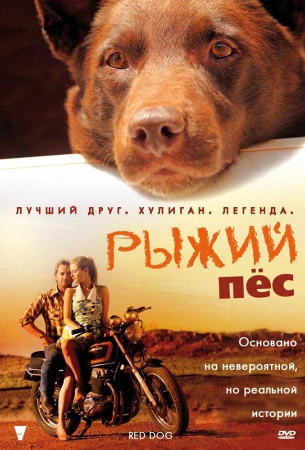  Рыжий пес  (2011)