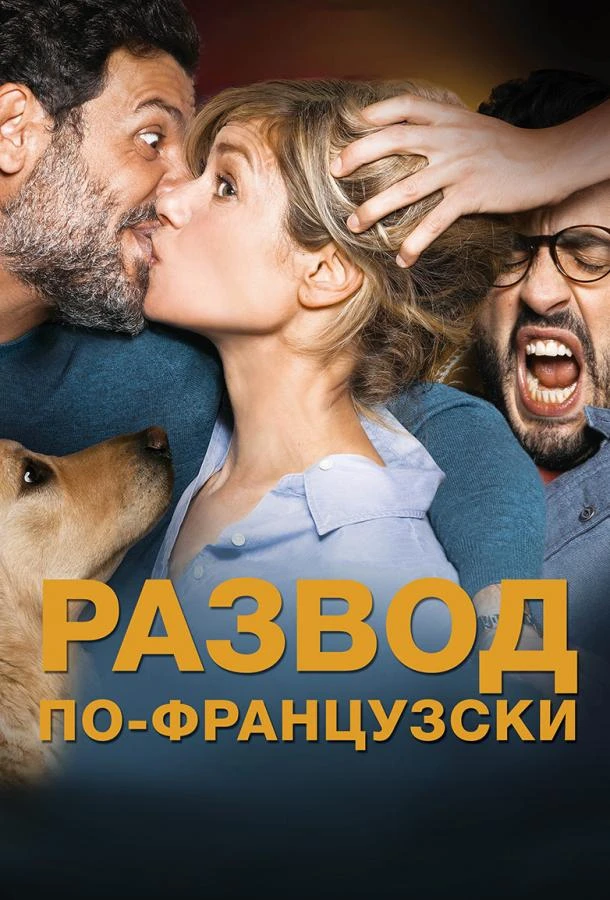  Развод по-французски  (2016)