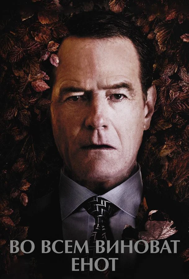  Во всем виноват енот  (2016)