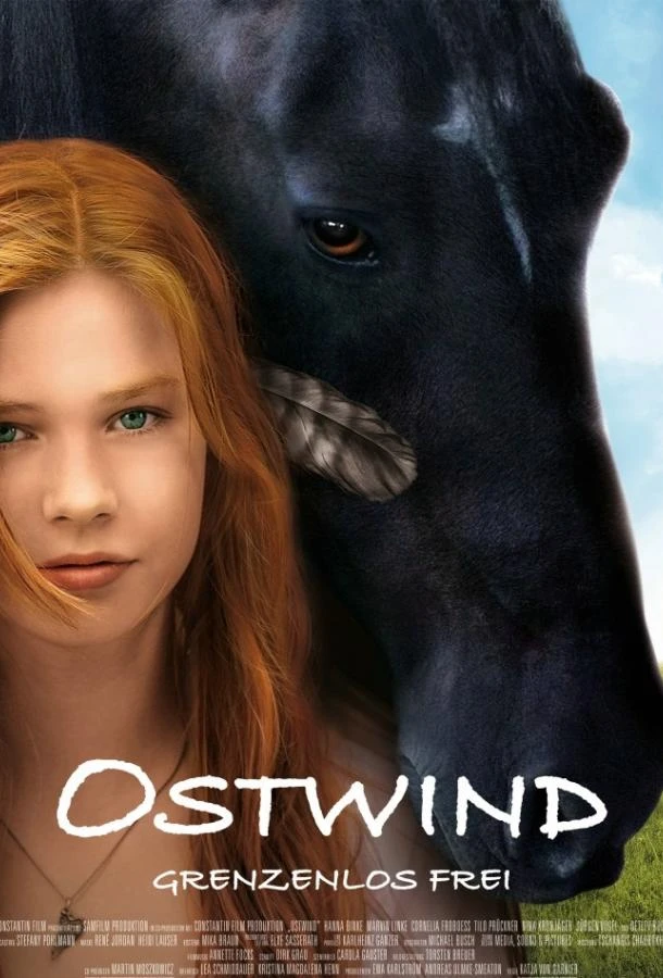  Восточный ветер  (2013)